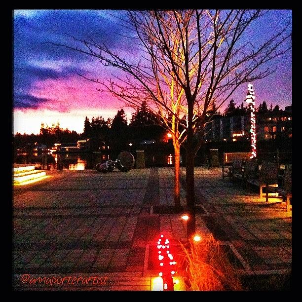 Tree Photograph - Millennium Park Plaza At Sunset by Anna Porter