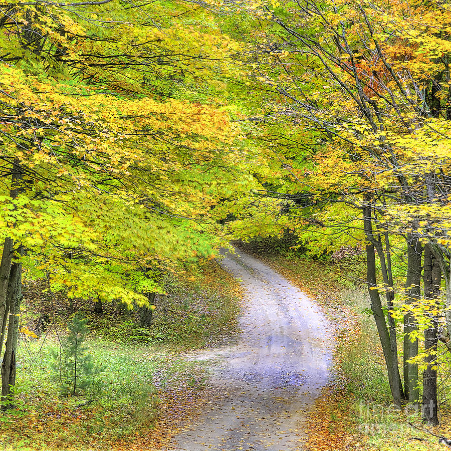 Miller Hill Road in Fall Photograph by Twenty Two North Photography ...