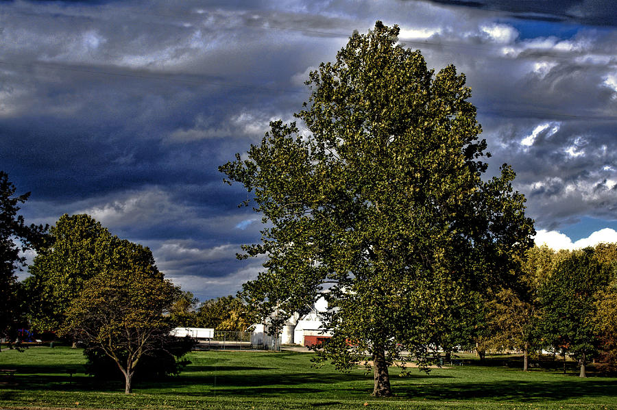 Miller Park DeSoto Kansas Photograph by Tim McCullough