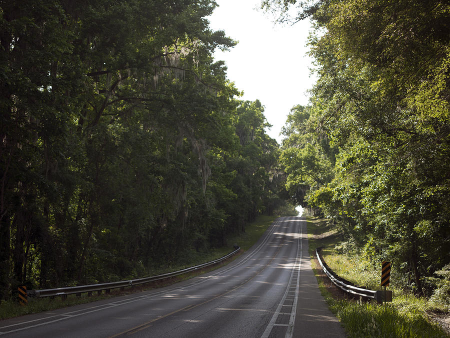 Millhopper Road Photograph by William Ragan - Fine Art America