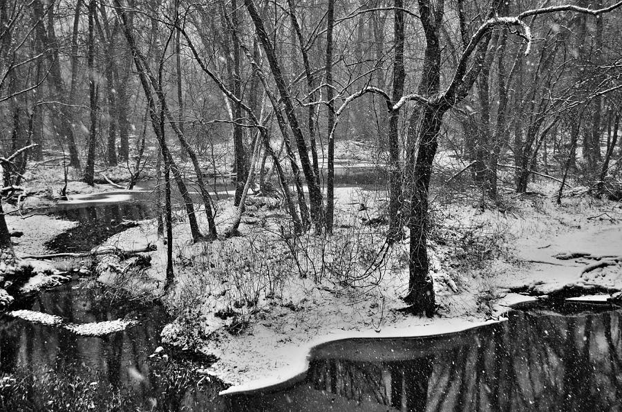 Millstone River in Snowstorm Photograph by Steven Richman
