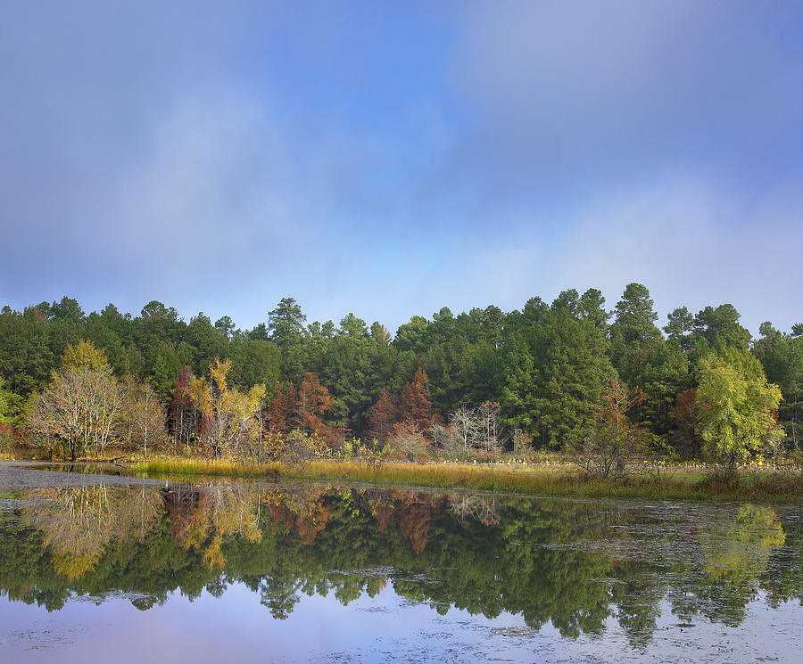 Millwood Lake State Park Arkansas Photograph by Tim Fitzharris