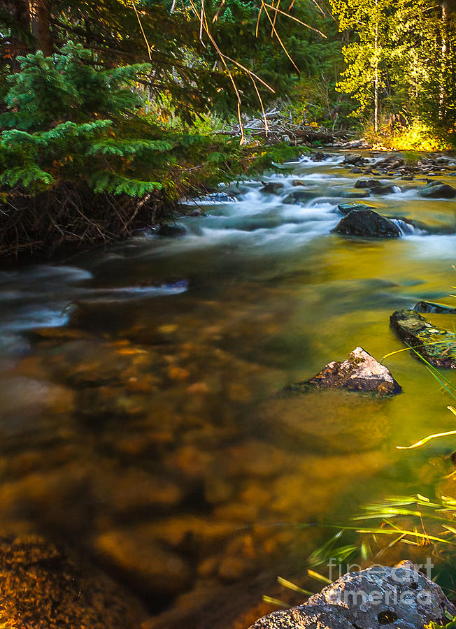 Nature Photograph - Milner Creek by Steven Reed
