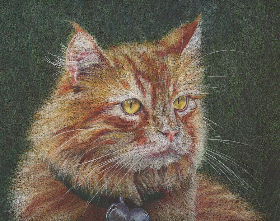 Milo Drawing by Charne Gooch | Fine Art America