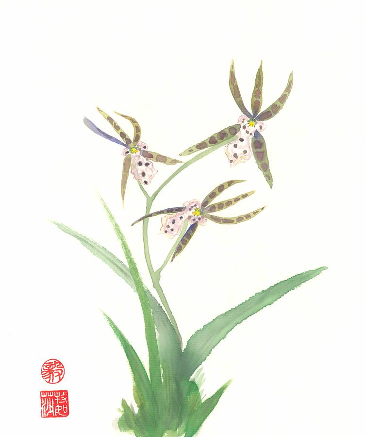 Miltonia Orchid Painting by Terri Harris