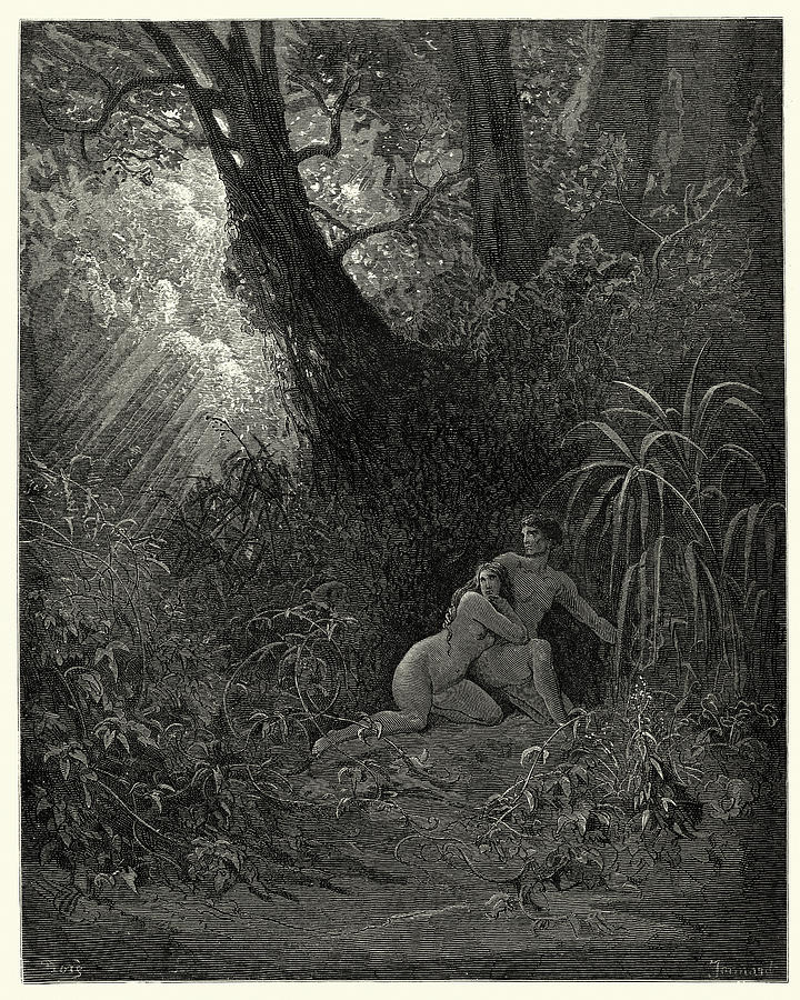 Miltons Paradise Lost -  hid themselves amoung, The thickest trees Drawing by Duncan1890