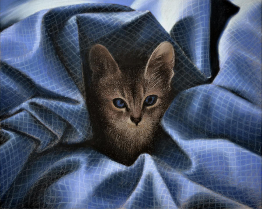 Cat Pastel - Mimi in the sheets - Pastel by Ben Kotyuk