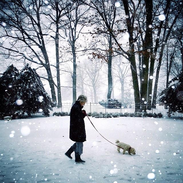 Winter Photograph - Min Mama & Lilla Pia by Natasha Marco Winter Photograph - Min Mama & Lilla Pia by Natasha Marco