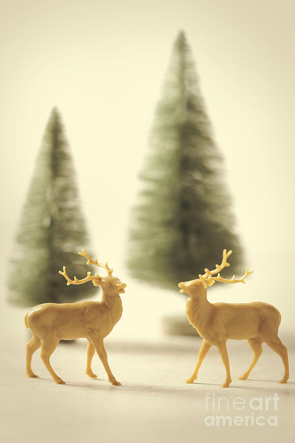 Minature reindeer with littles trees for holiday decorating Photograph by Sandra Cunningham