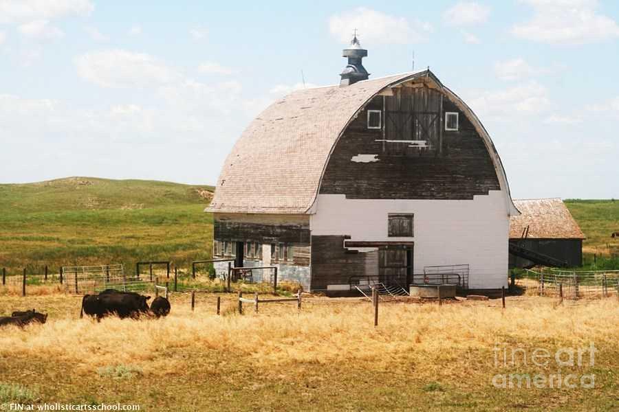 MINDEN NEBRASKA OLD FARM and BARN Photograph by PainterArtist FIN