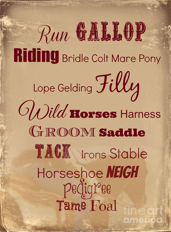Mindys Horse Sign  Digital Art by Mindy Bench