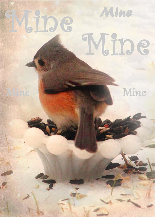Titmouse Photograph - Mine-All Mine by Karen Beasley