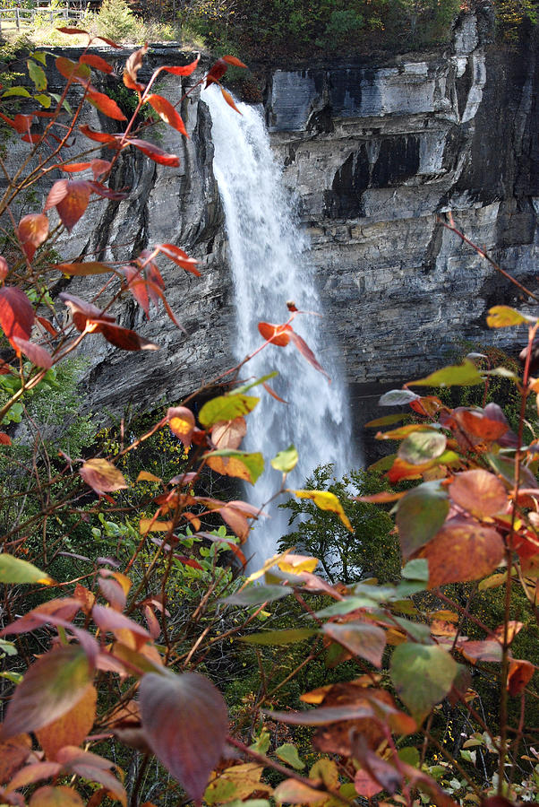 Mine Creek Falls Photograph by John Schneider