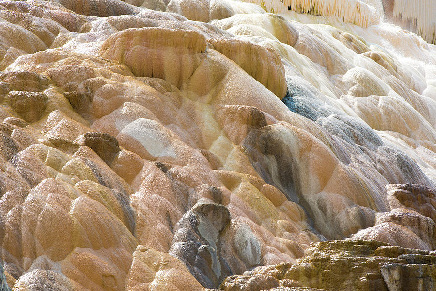 Mineral Deposition Mammoth Hot Springs Photograph by Inhauscreative