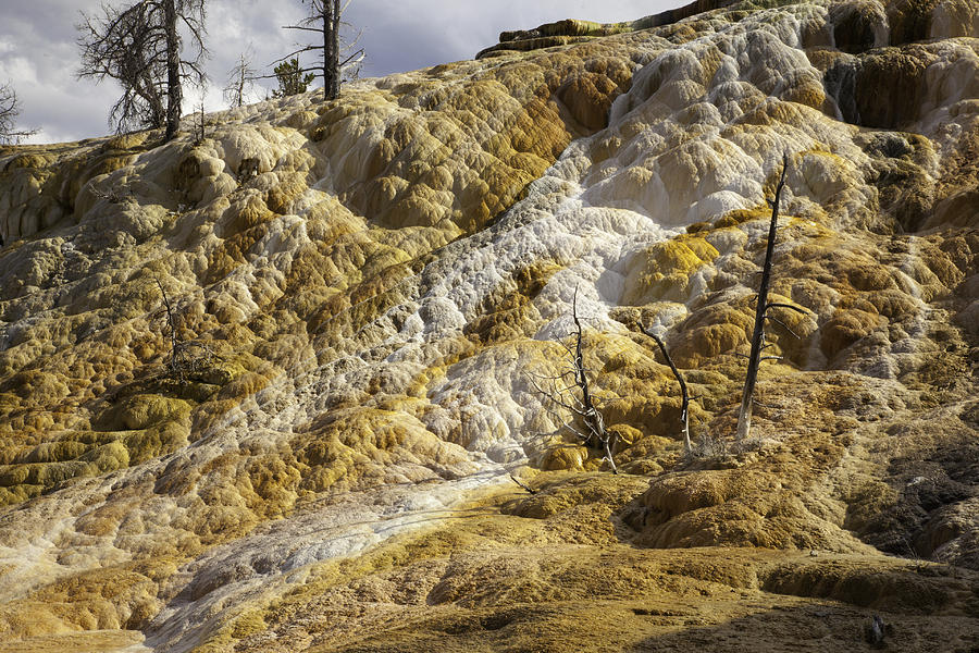 Mineral flow Photograph by Steve Blair - Fine Art America