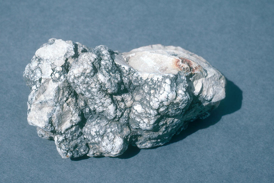Mineral Howlite Photograph by A.b. Joyce