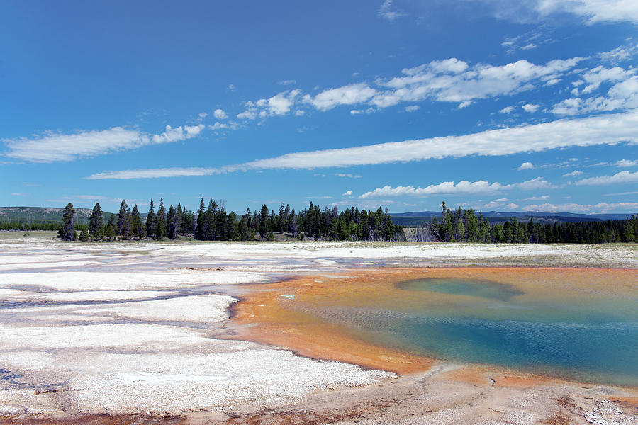 Mineral Pool Landscape At Yellowstone Np Photograph by Gail Shotlander