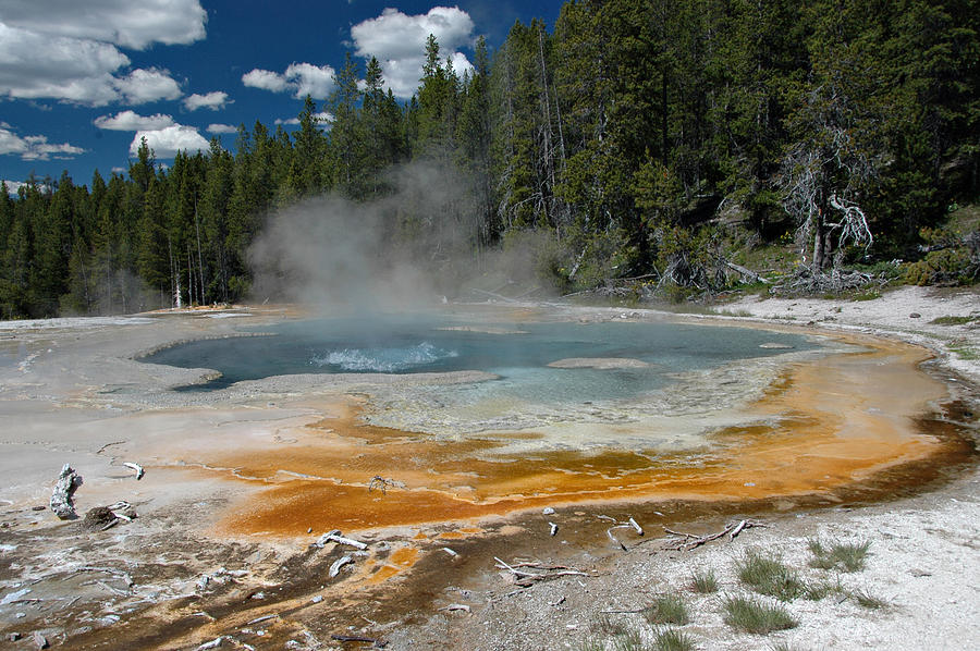 Mineral Pool Photograph by Paul Miller