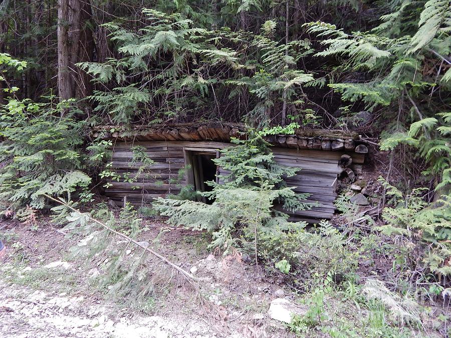 Miners Cabin British Columbia Photograph by Reb Frost