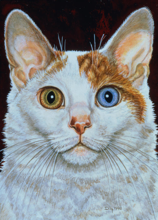 Cat Painting - Minette by Ditz