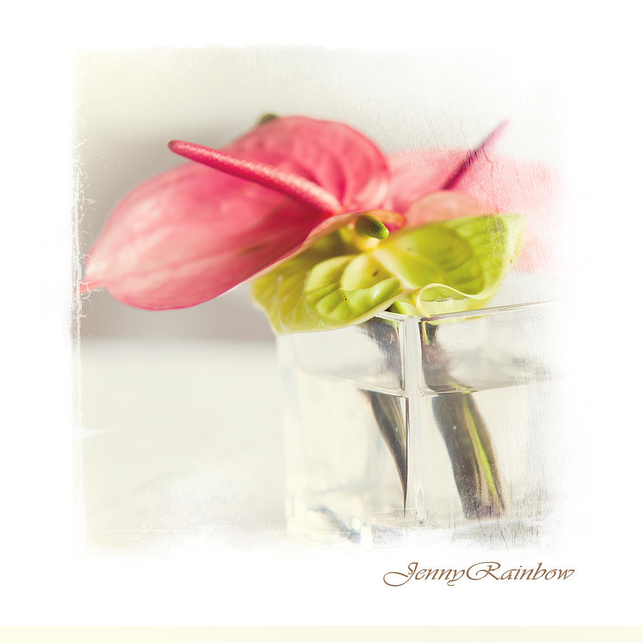 Mini Bouquet with Anthurium. Elegant KnickKnacks from JennyRainbow Photograph by Jenny Rainbow