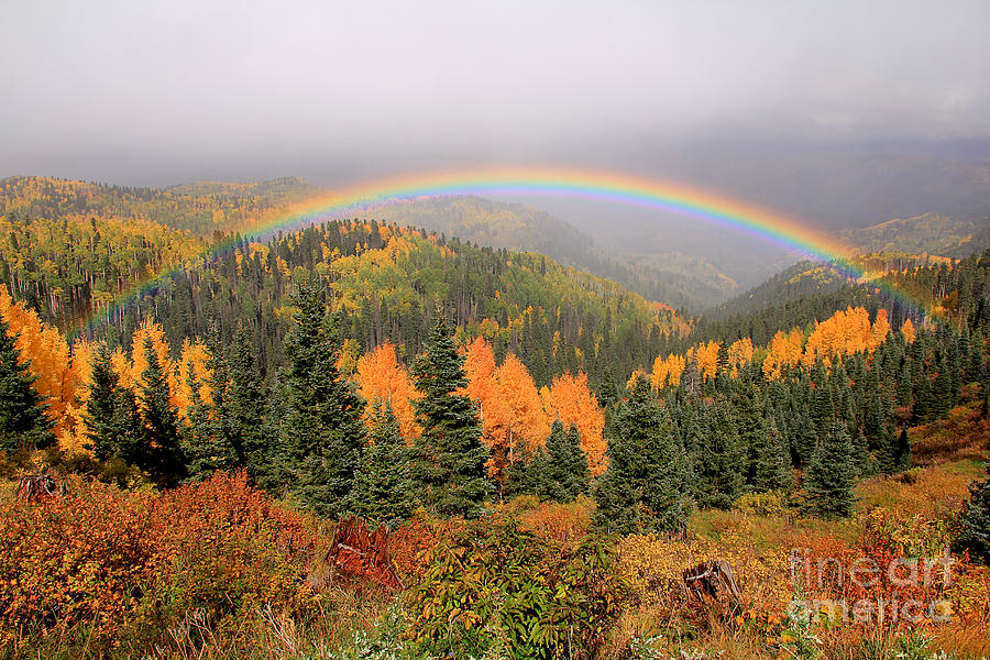 Landscape Photograph - Mini Full Rainbow Surprise by Patrick Dillon