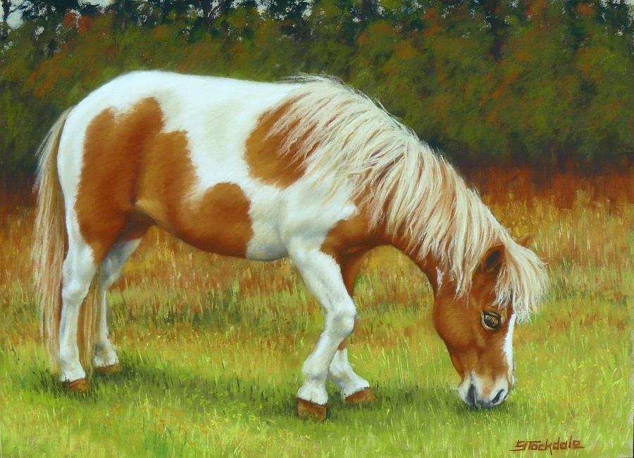 Horse Pastel - Mini Mare Pastel by Margaret Stockdale