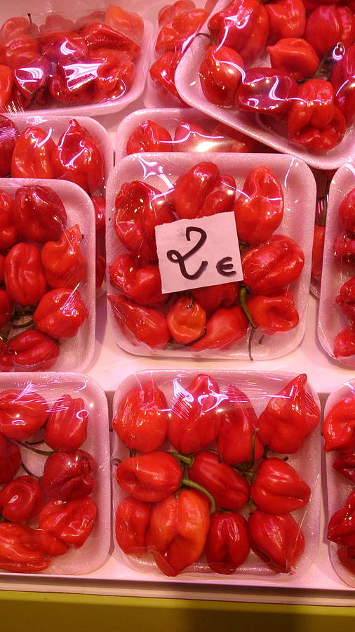 Mini Red Peppers Photograph by Moshe Harboun
