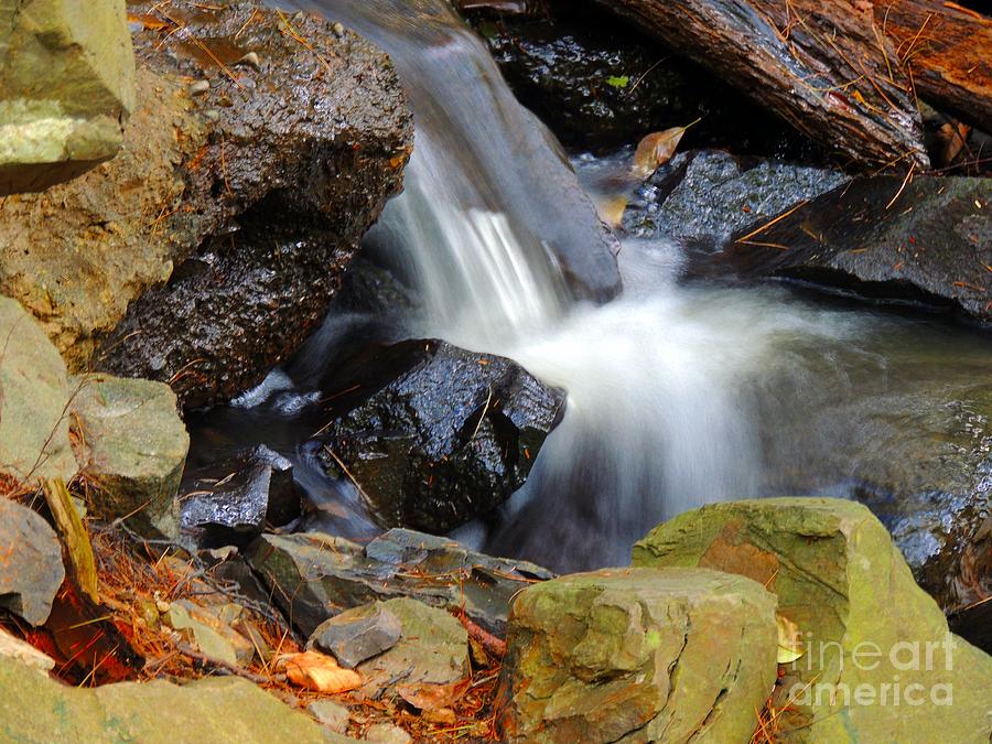 Mini-Waterfall Photograph by Marcia Lee Jones