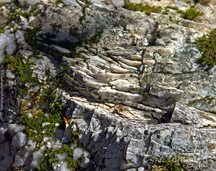 Miniature Cliffside Photograph