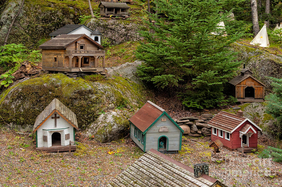 Miniature houses on the forest floor Photograph by Les Palenik