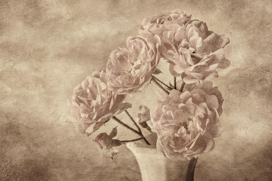 Miniature Rose Bouquet Photograph