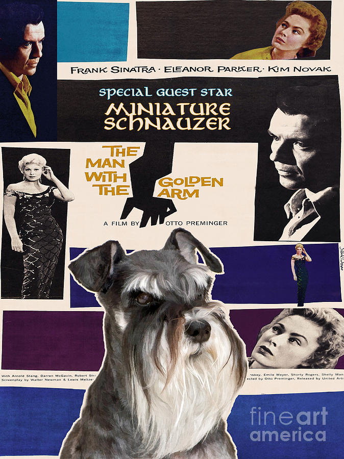 Miniature Schnauzer Art Canvas Print - The Man with the Golden Arm Movie Poster Painting by Sandra Sij