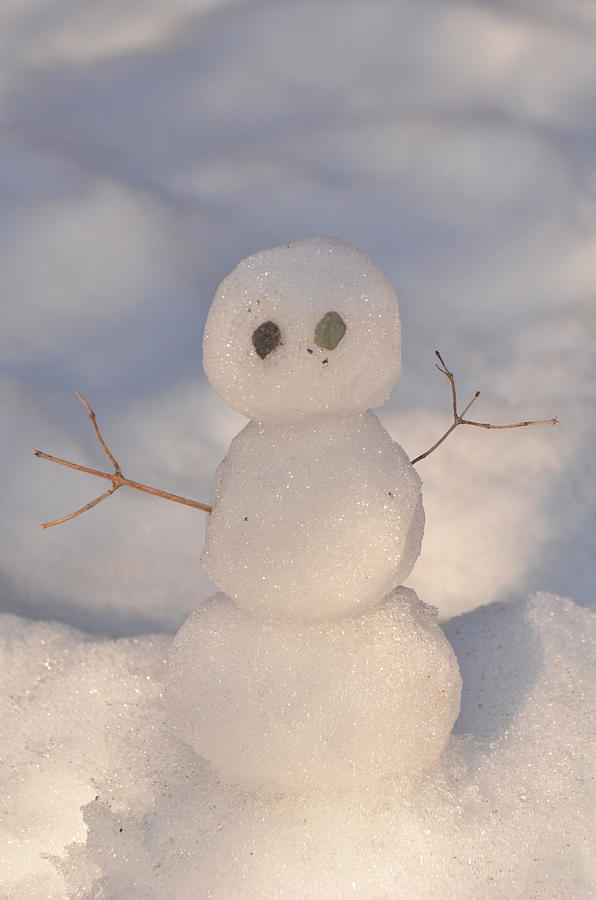 Miniature Snowman portrait by Nancy Landry