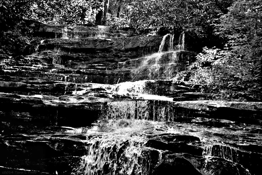 Minihaha Falls in Monochrome Photograph by Tara Potts