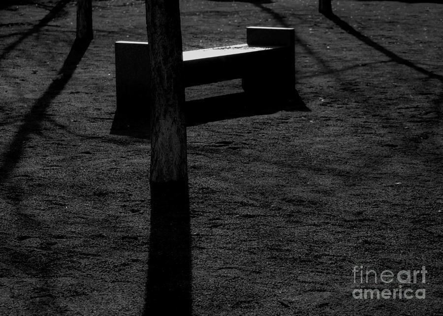 Minimalist Forest Seat Photograph by James Aiken