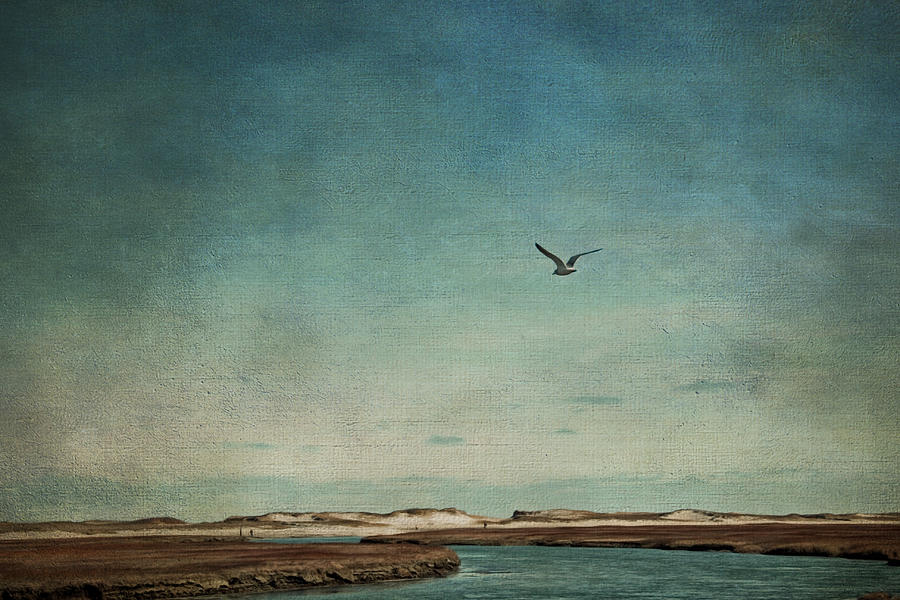 Minimalist Vintage Inspired Seascape Photograph by Brooke T Ryan