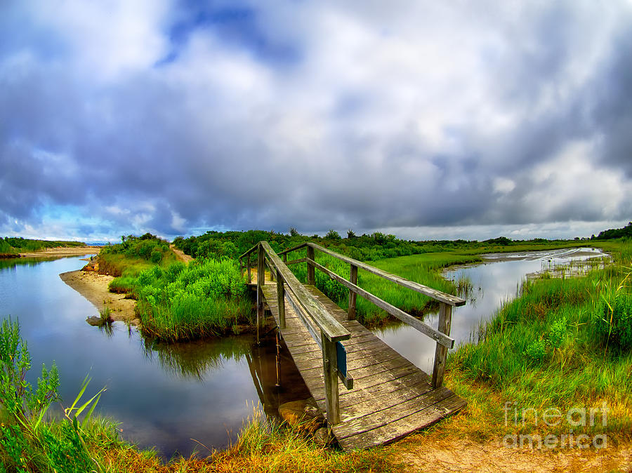 Landscape Photograph - Mink Meadow Bridge by Mark Miller