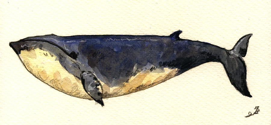 Mammal Painting - Minke whale by Juan  Bosco