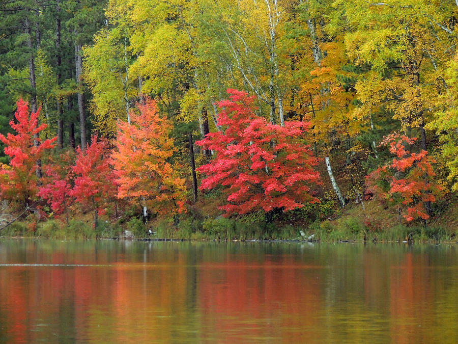 Minnesota Color Photograph by Sharon Goldsboro - Fine Art America