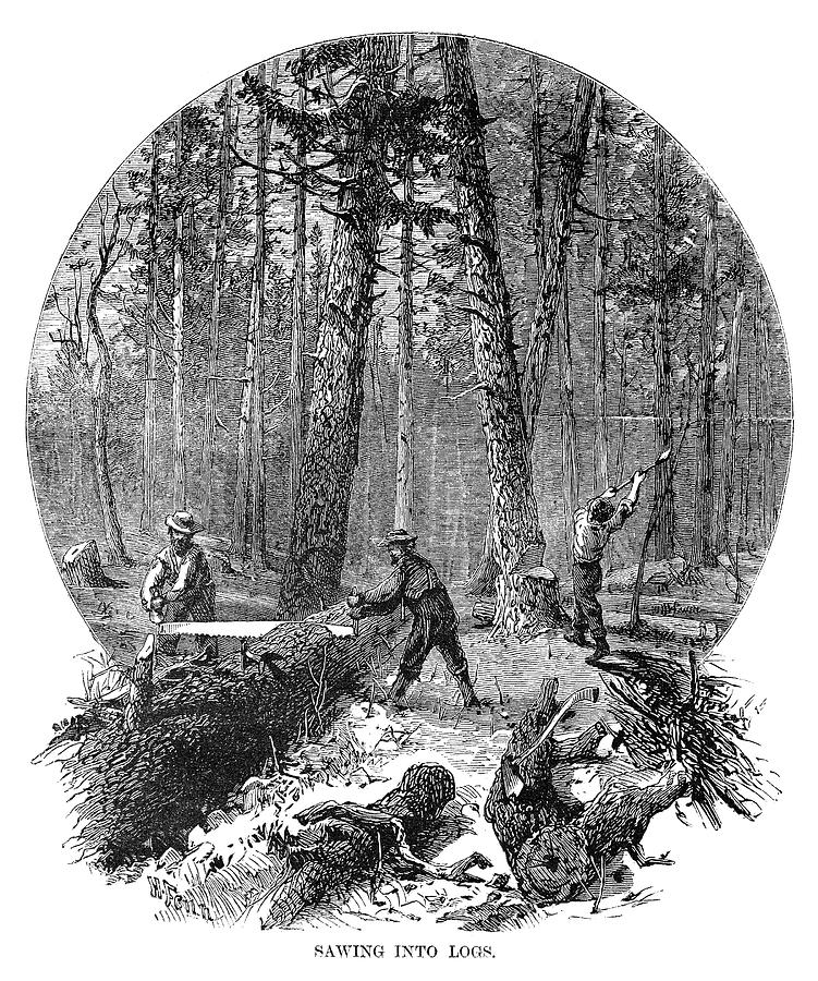 Minnesota Logging, 1870 Painting by Granger