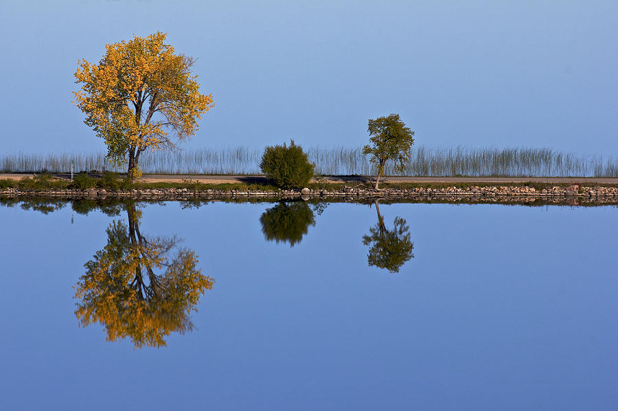 Fall Photograph - Minnesota Mirror by Penny Meyers