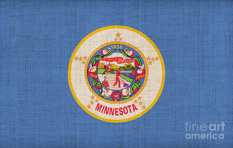 Flag Painting - Minnesota state flag by Pixel Chimp