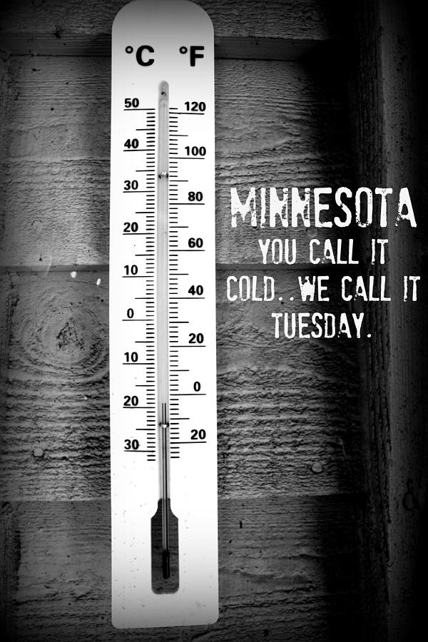 Minnesota Travel Poster Photograph by Amanda Stadther