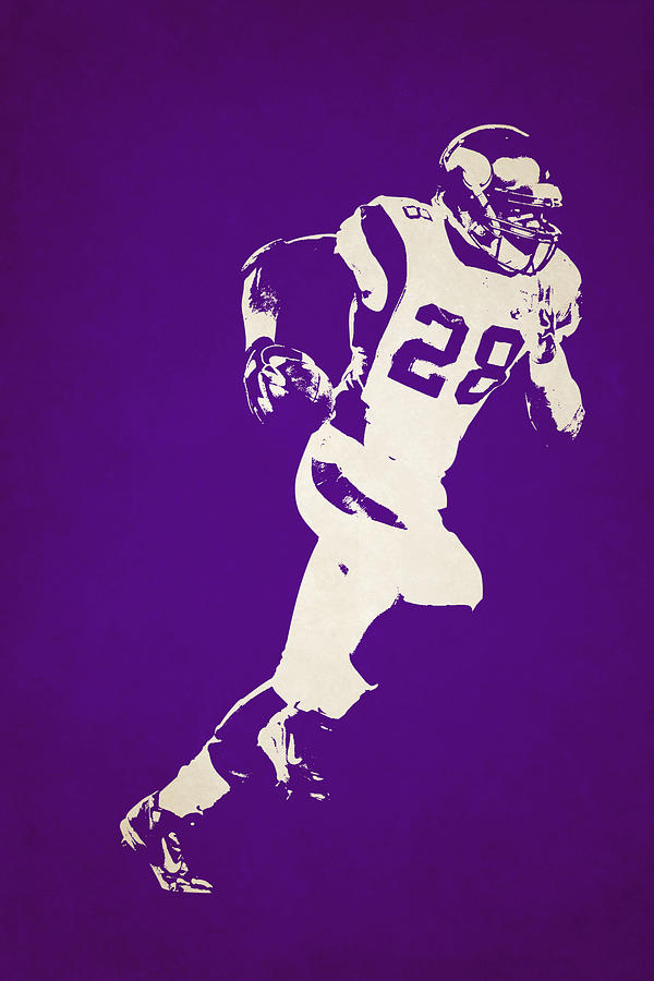 Minnesota Vikings Shadow Player Photograph By Joe Hamilton 