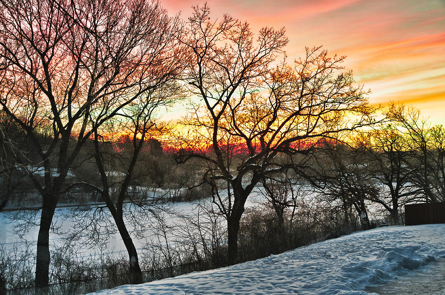 Minnesota Winter Sunset Photograph by Betty Eich