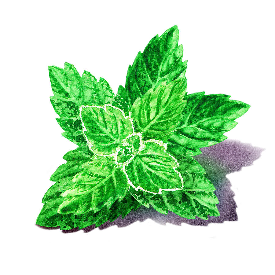 Mint Leaves Painting