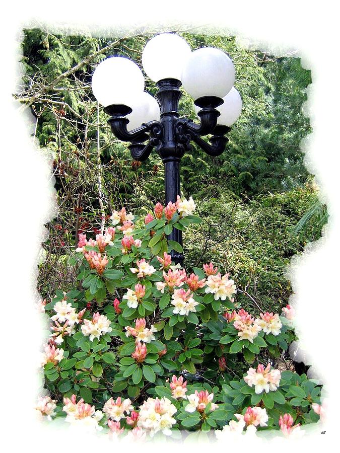 Spring Photograph - Minter Gardens Lamp Standard by Will Borden