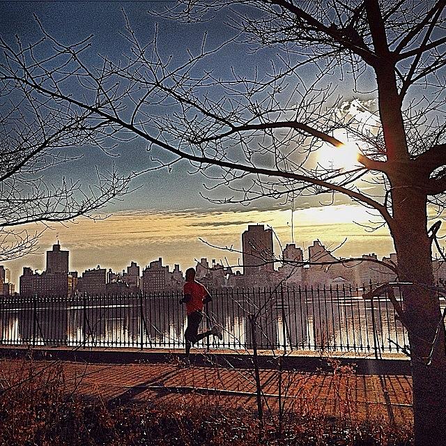 Holiday Photograph - Minus 5 In Central Park This Morning by Emily Hames