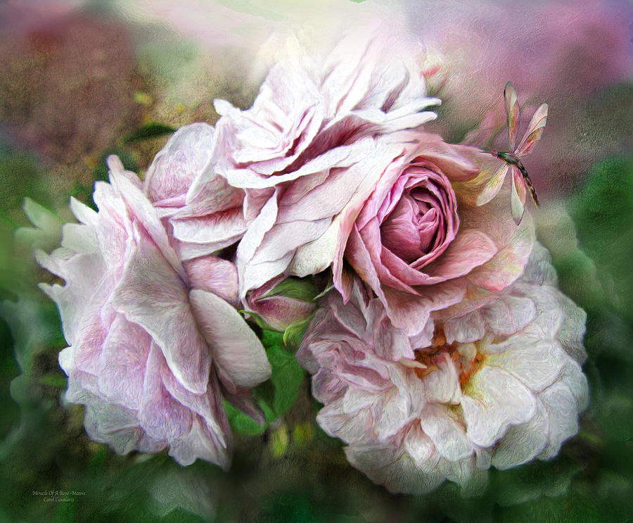 Miracle Of A Rose - Mauve Mixed Media by Carol Cavalaris
